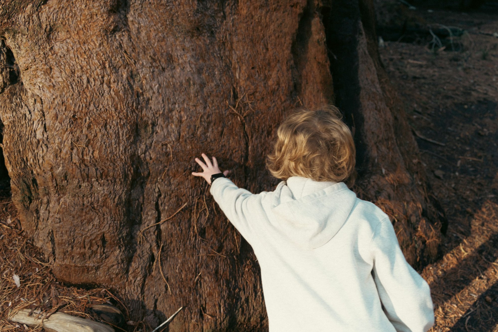 Person with a living tree